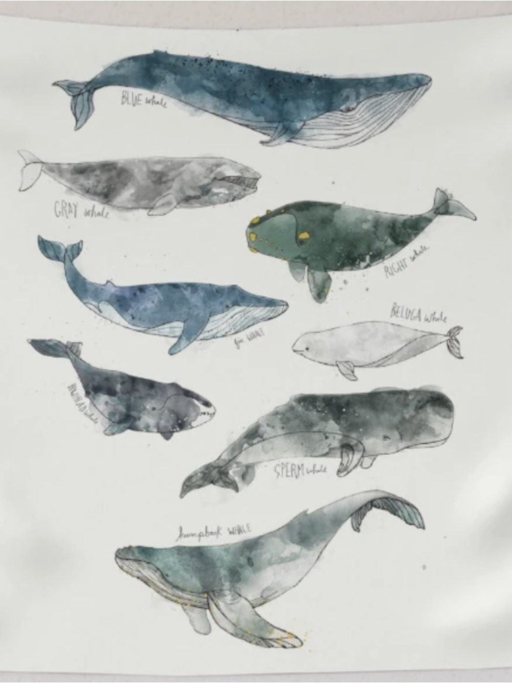 Whale tapestry